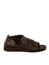 Ebenholz