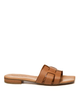 Leder