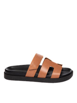 Leder